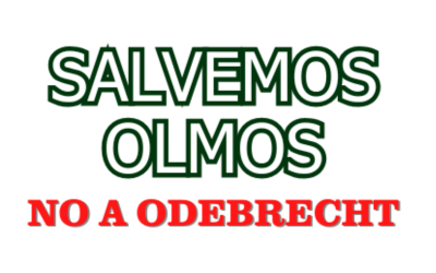 Logo Olmos